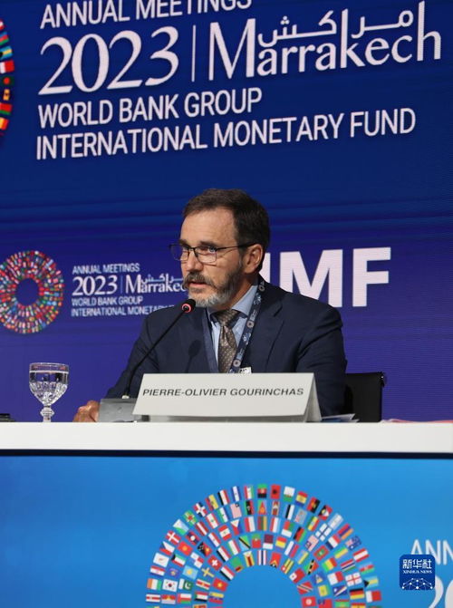 国际货币基金组织动态调控