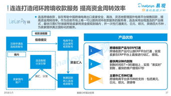 中国跨境支付行业的风险管理办法